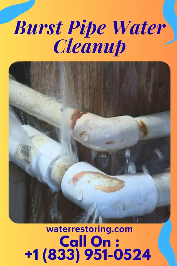 Burst Pipe Water Cleanup in Gerald, MO