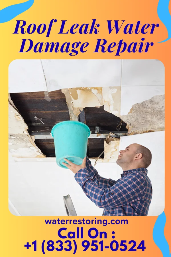 Roof Leak Water Damage Repair in Gerald, MO