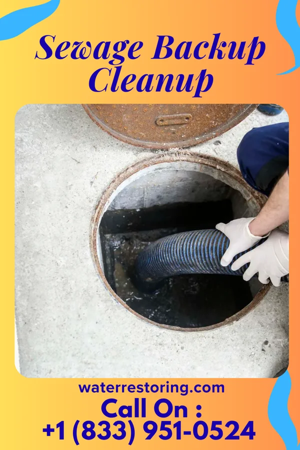 Sewage Backup Cleanup in Gerald, MO